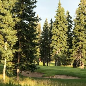 Meet your Posher, Colleen